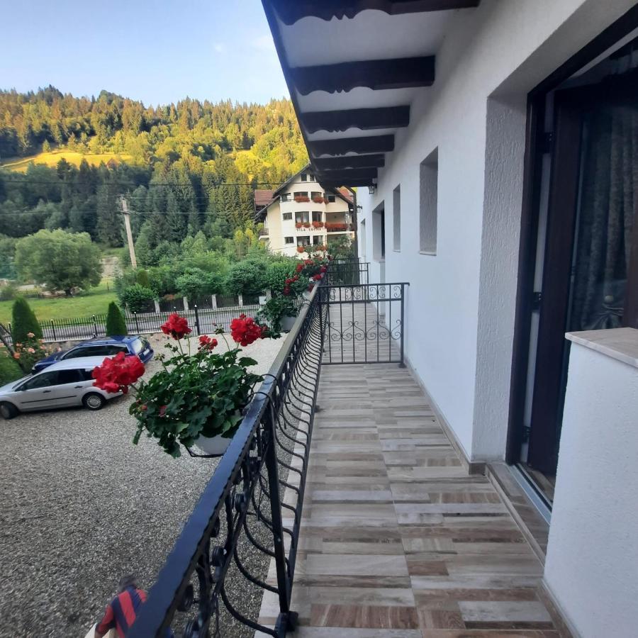 Hotel Casa Dana Olteanu Moeciu De Sus Exterior foto